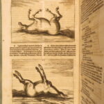 1678 – Horse Manual – Georg Winter | First Edition – Illustrated Veterinary Medicine