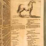 1678 – Horse Manual – Georg Winter | First Edition – Illustrated Veterinary Medicine