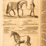 1678 – Horse Manual – Georg Winter | First Edition – Illustrated Veterinary Medicine