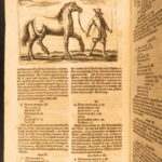 1678 – Horse Manual – Georg Winter | First Edition – Illustrated Veterinary Medicine