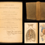 1883 GRAY’S ANATOMY Surgery Illustrated Medicine Physician Cardiology Neurology