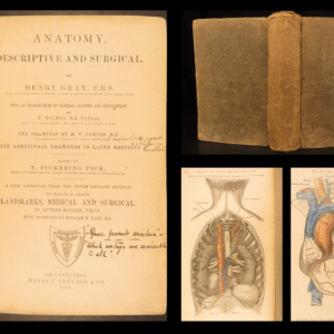 1883 GRAY’S ANATOMY Surgery Illustrated Medicine Physician Cardiology Neurology