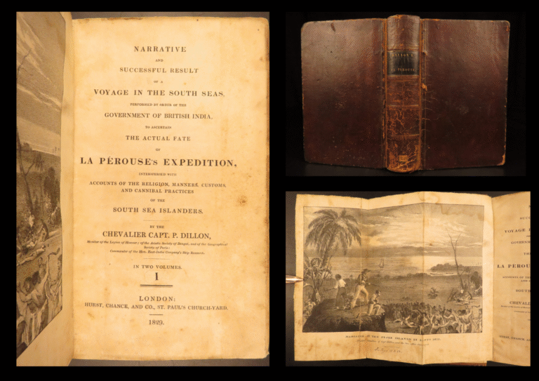 Image of Narrative of a Voyage in the South Seas – Peter Dillon – 1829 | First Edition, 2 Vols, Plates