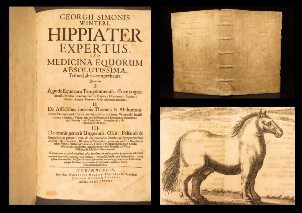 1678 – horse manual – georg winter | first edition – illustrated veterinary medicine | winter’s 1678 <em>hippiater expertus</em> is a latin veterinary folio on equine disorders, treatments, and anatomical theory with 43 in-text woodcuts and original vellum binding.