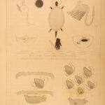 Information Respecting the Indian Tribes – Schoolcraft – 1853–1856 | 5v, Maps