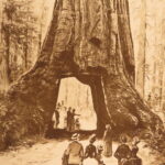 1888 – Picturesque California, John Muir | First Edition Folios – Illustrated Rocky Mountains