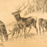 1888 – Picturesque California, John Muir | First Edition Folios – Illustrated Rocky Mountains