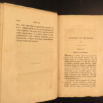 1826 – Anatomy of the Brain – Spurzheim | First English Edition – Illustrated Neurology