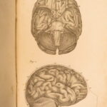 1826 – Anatomy of the Brain – Spurzheim | First English Edition – Illustrated Neurology