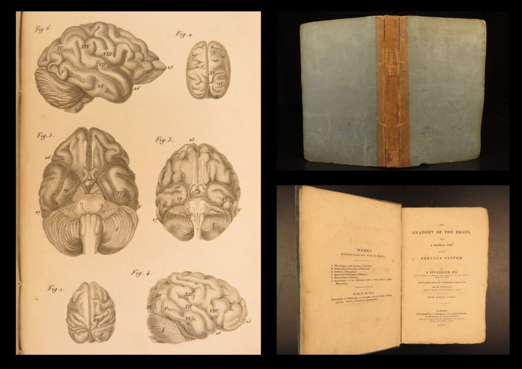 1826 – anatomy of the brain – spurzheim | first english edition – illustrated neurology | first english edition of johann spurzheim’s the anatomy of the brain (london, 1826), translated by robert willis, with 11 plates on cerebral structure and the nervous system.