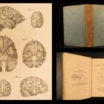 1826 – Anatomy of the Brain – Spurzheim | First English Edition – Illustrated Neurology