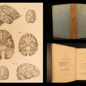 1826 – Anatomy of the Brain – Spurzheim | First English Edition – Illustrated Neurology
