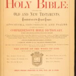 1874 – The Holy Bible | Enormous Illustrated Victorian Bible | 900+ Engravings