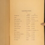 1846 – The Cricket on the Hearth – Charles Dickens | First Edition, Christmas Literature