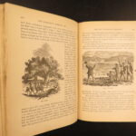 1881 – Works of Mark Twain | Early British Editions – Huckleberry Finn & Tom Sawyer