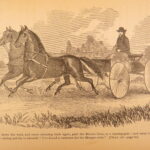 1875 – Hundred Thousand Dollars in Gold | Gilded Age Finance & Wealth Management