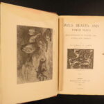1890 – Wild Beasts | African Animals – Illustrated Lions, Tigers, Rhinos, Giraffes