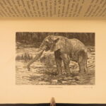 1890 – Wild Beasts | African Animals – Illustrated Lions, Tigers, Rhinos, Giraffes