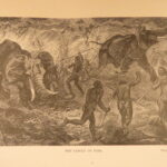 1890 – Wild Beasts | African Animals – Illustrated Lions, Tigers, Rhinos, Giraffes