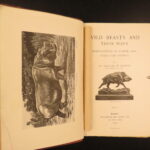 1890 – Wild Beasts | African Animals – Illustrated Lions, Tigers, Rhinos, Giraffes
