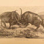 1890 – Wild Beasts | African Animals – Illustrated Lions, Tigers, Rhinos, Giraffes