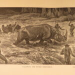 1890 – Wild Beasts | African Animals – Illustrated Lions, Tigers, Rhinos, Giraffes