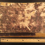 1774 – Royal Laws of Spanish Indies | Early South American Settlements & War