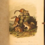 1854 – The Quadrupeds of North America – Audubon | 155 Color Plates of Animals