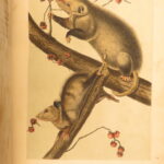 1854 – The Quadrupeds of North America – Audubon | 155 Color Plates of Animals