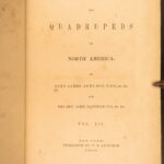 1854 – The Quadrupeds of North America – Audubon | 155 Color Plates of Animals