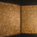 Museum of Antiquity – 1881 | 180 Engravings, Pagan & Occult Rituals!