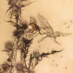 1908 – A Midsummer Night’s Dream – Shakespeare | Illustrated & Signed by Arthur Rackham