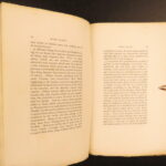 1886 – Magic Plants – Heucher | Mystical Occult Medicine, Supernatural Mandrake