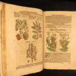1626 – Kreuterbuch – Mattioli | Famous Herbal with Hand-colored Botany Woodcuts