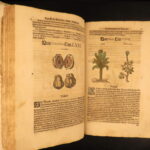 1626 – Kreuterbuch – Mattioli | Famous Herbal with Hand-colored Botany Woodcuts