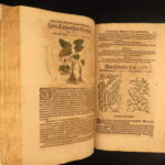 1626 – Kreuterbuch – Mattioli | Famous Herbal with Hand-colored Botany Woodcuts