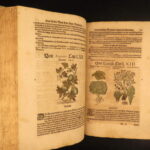 1626 – Kreuterbuch – Mattioli | Famous Herbal with Hand-colored Botany Woodcuts