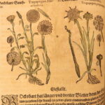 1626 – Kreuterbuch – Mattioli | Famous Herbal with Hand-colored Botany Woodcuts