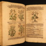 1626 – Kreuterbuch – Mattioli | Famous Herbal with Hand-colored Botany Woodcuts
