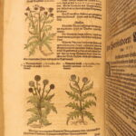 1626 – Kreuterbuch – Mattioli | Famous Herbal with Hand-colored Botany Woodcuts