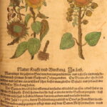 1626 – Kreuterbuch – Mattioli | Famous Herbal with Hand-colored Botany Woodcuts