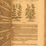 1626 – Kreuterbuch – Mattioli | Famous Herbal with Hand-colored Botany Woodcuts