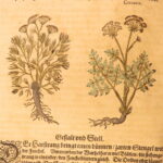 1626 – Kreuterbuch – Mattioli | Famous Herbal with Hand-colored Botany Woodcuts