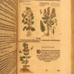 1626 – Kreuterbuch – Mattioli | Famous Herbal with Hand-colored Botany Woodcuts