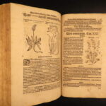 1626 – Kreuterbuch – Mattioli | Famous Herbal with Hand-colored Botany Woodcuts