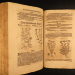 1626 – Kreuterbuch – Mattioli | Famous Herbal with Hand-colored Botany Woodcuts
