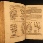 1626 – Kreuterbuch – Mattioli | Famous Herbal with Hand-colored Botany Woodcuts