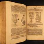 1626 – Kreuterbuch – Mattioli | Famous Herbal with Hand-colored Botany Woodcuts