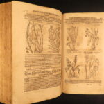1626 – Kreuterbuch – Mattioli | Famous Herbal with Hand-colored Botany Woodcuts
