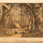 1852 – Isthmus of Tehuantepec, Mexico – Illustrated Railroad Survey | First Edition